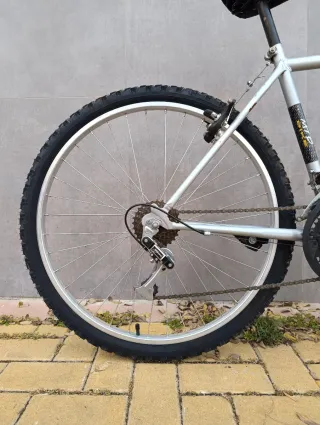 Bicicleta de Ciudad Adulto