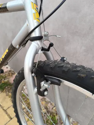 Bicicleta de Ciudad Adulto