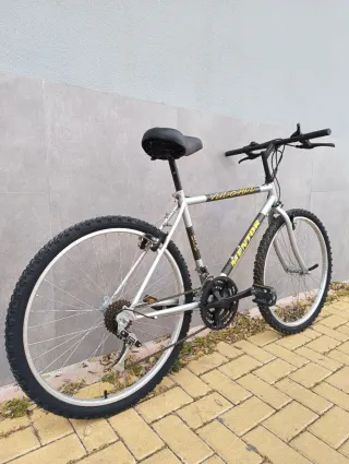 Bicicleta de Ciudad Adulto