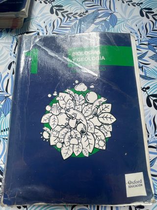 Inicia Biología y Geología 1.º Bachillerato. Li...