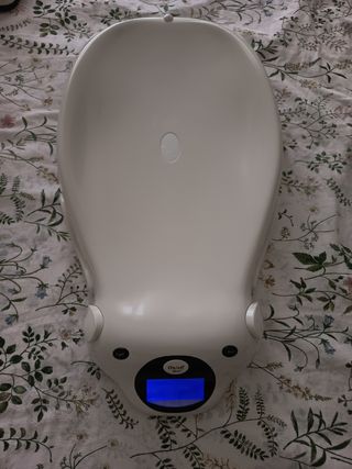 Báscula