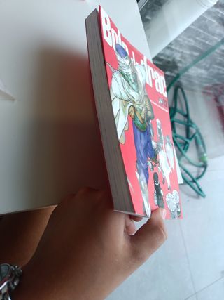 Bola de Drac nº 12/34 PDA