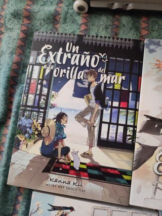 Un Extraño en Primavera Manga bl