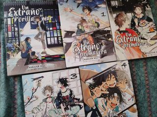 Un Extraño en Primavera Manga bl