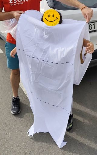 Disfraz Papel Higiénico WC