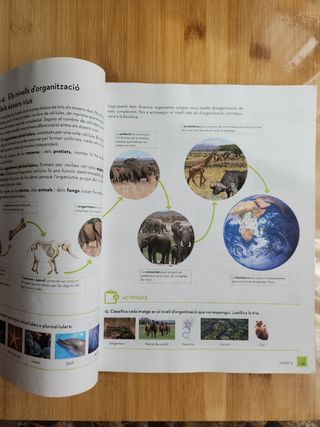 Biologia i Geologia 1r ESO