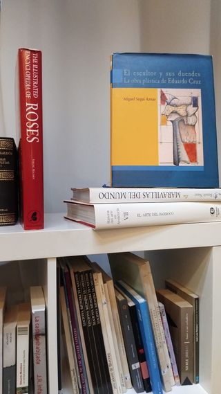 Libros económicos Piel de Mariposa Sevilla IV