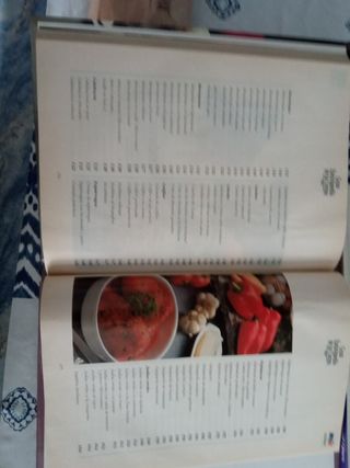 GRAN ENCICLOPEDIA DE LA COCINA - TOMO I