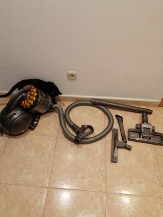 Aspiradora Dyson Ball DC37C Parquet