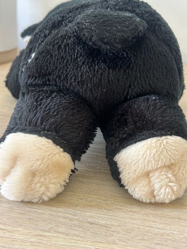 Osito de peluche negro