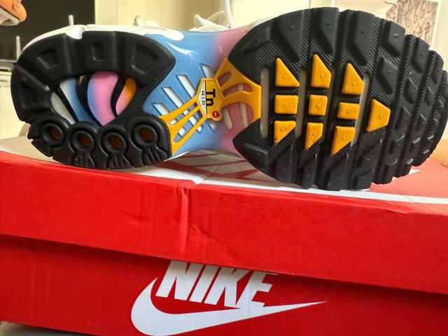 Zapatillas Nike Air Max Multicolor