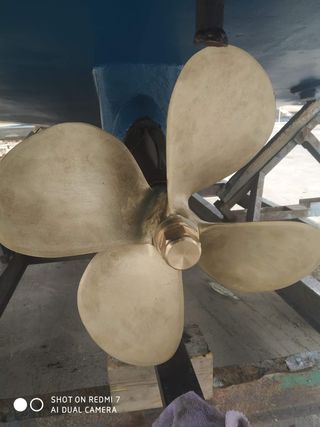 Barco de pesca profesional, de artes menores.