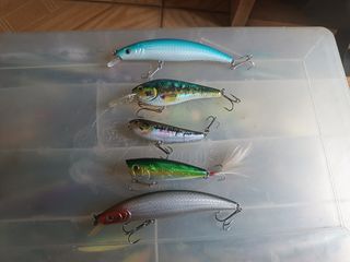 Lote 5 Señuelos Caperlan