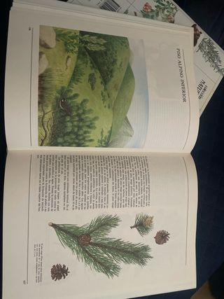 Tres libros de animales y naturaleza a precio de 1