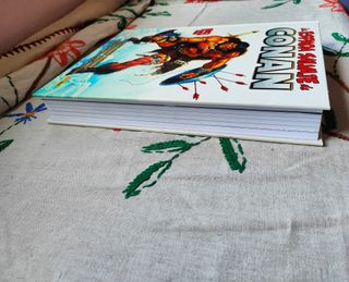 La Espada Salvaje Conan. Tomo 11. 1982