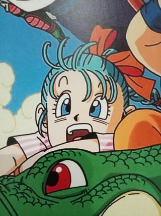 Póster Dragon Ball Z