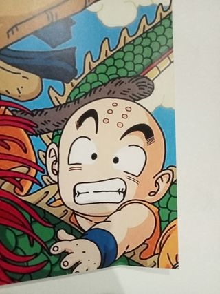 Póster Dragon Ball Z