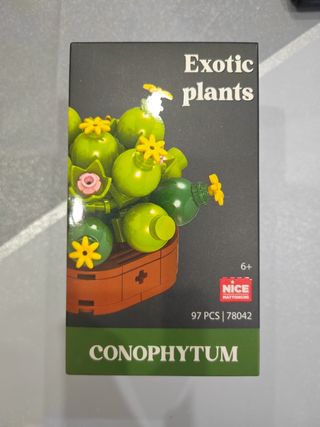 Puzzle de plantas exóticas