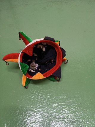 Gorro de bufón de colores