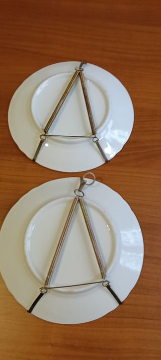 2 Piatti Porcellana Decorativi da Appendere