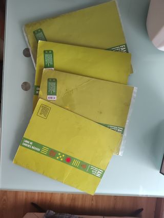 Proyecto: FanFest. Conocimiento del medio 5. Tr...