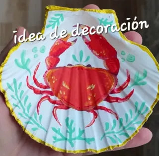 8 CONCHAS VIEIRAS MARINAS NATURALES HONDAS.