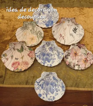 8 CONCHAS VIEIRAS MARINAS NATURALES HONDAS.