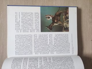 2 libros de Don Quijote de la Mancha