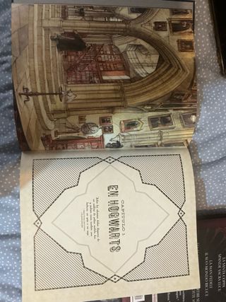 EL GRAN LIBRO DE LOS ARTEFACTOS DE HARRY POTTER...