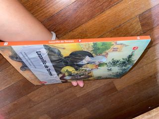 El Lazarillo De Tormes N/c (clasicos Adaptados)...