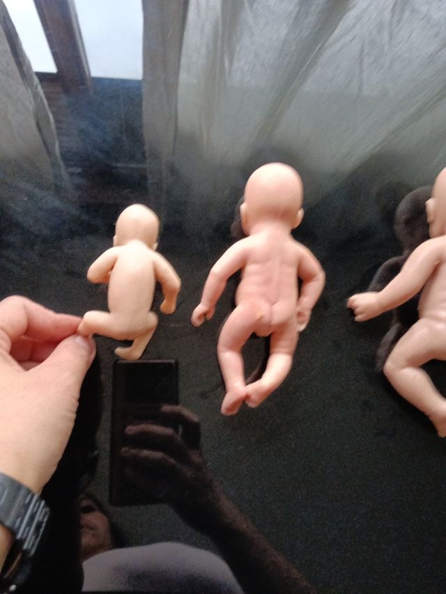 Lote 4 Muñecas Bebé Silicona Realista auténticas