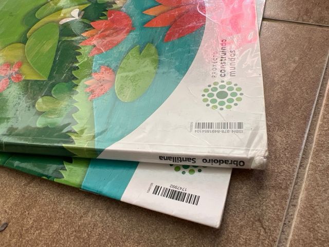 CIENCIAS DA NATUREZA 3 PRIMARIA CONSTRUINDO MUNDOS