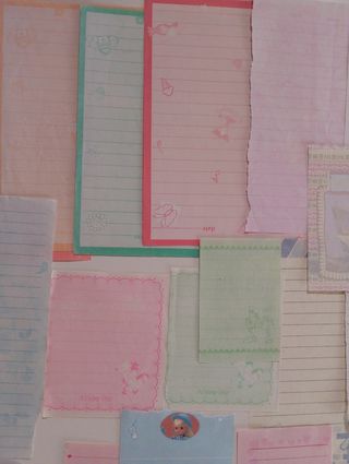 Lote Hojitas Intercambiables / Libretas