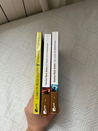 El Príncipe de la Niebla (Spanish Edition)