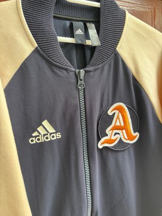 Chaqueta Adidas MLB Atlanta Braves Béisbol