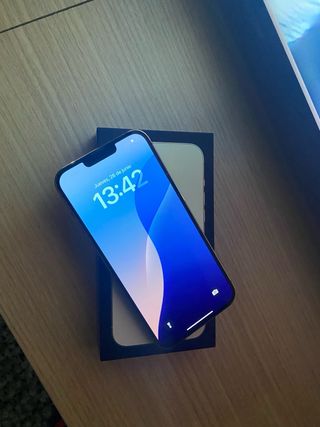iPhone 13 Pro Max 256GB Plata/Oro