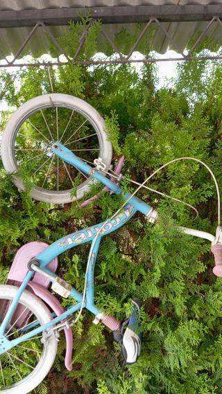Bicicleta infantil azul y rosa