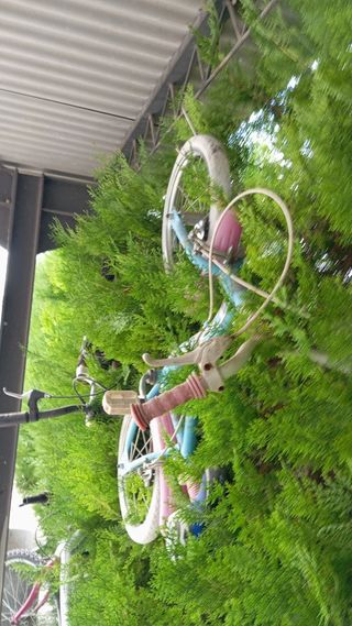 Bicicleta infantil azul y rosa