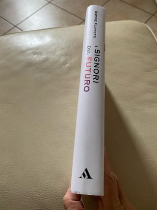 I Signori Del Futuro. L'italia Di Giovanni Tamburi