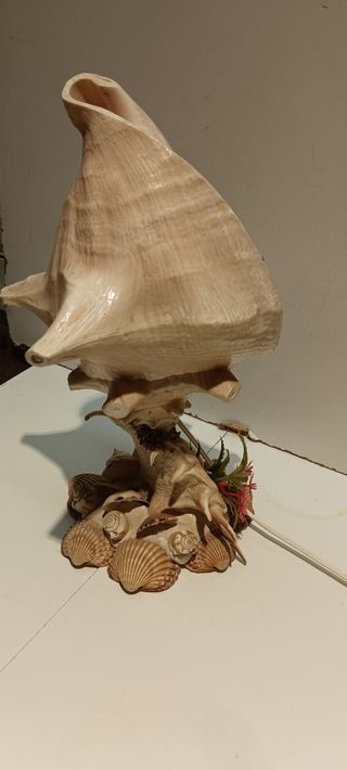 Lámpara Caracola Natural Decorativa