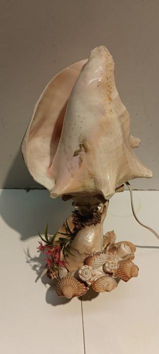 Lámpara Caracola Natural Decorativa