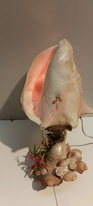 Lámpara Caracola Natural Decorativa