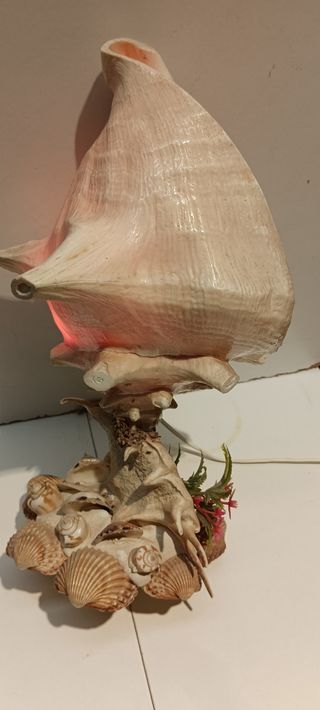 Lámpara Caracola Natural Decorativa