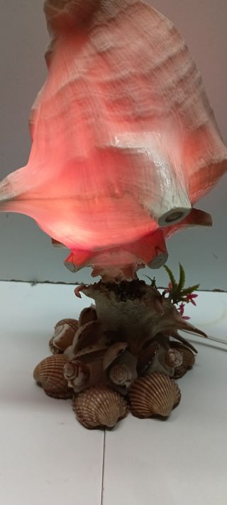 Lámpara Caracola Natural Decorativa