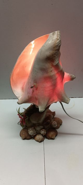 Lámpara Caracola Natural Decorativa