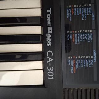 Órgano Casio Tone Bank CA-301