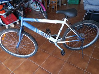 Bicicleta de montaña
