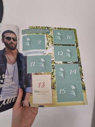 Album figurine Day Dreamer Le Ali del Sogno