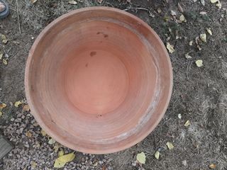 Maceta grande tipo lebrillo