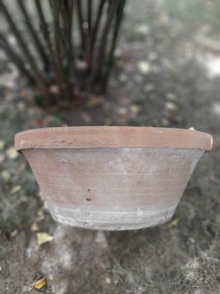 Maceta grande tipo lebrillo
